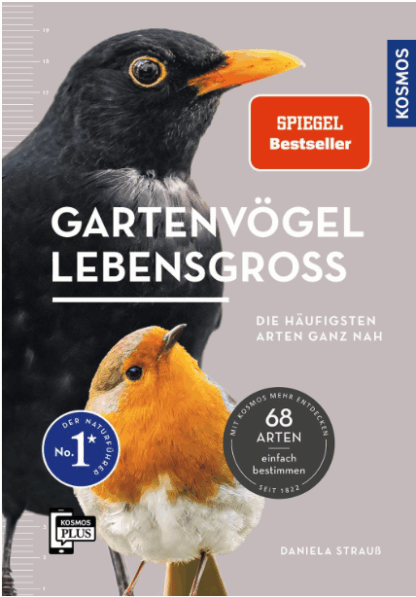 Gartenvögel - lebensgroß