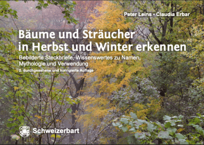 Bäume und Sträucher in Herbst und Winter erkennen