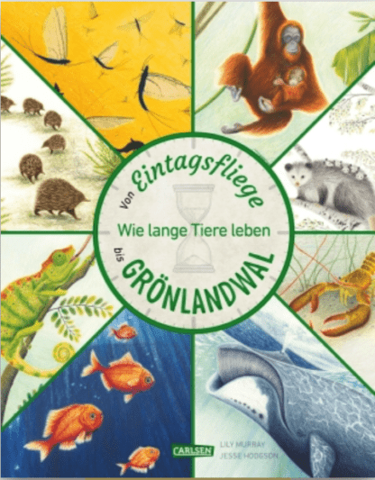 Von Eintagsfliege bis Grönlandwal - Wie lange Tiere leben