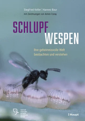 Schlupfwespen