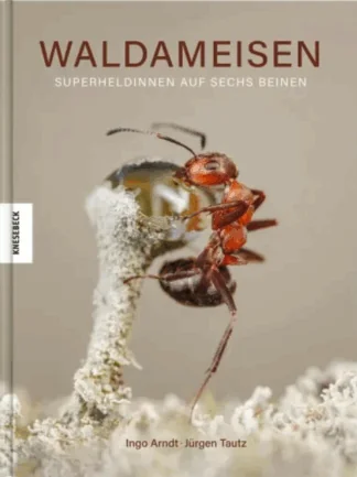 Waldameisen