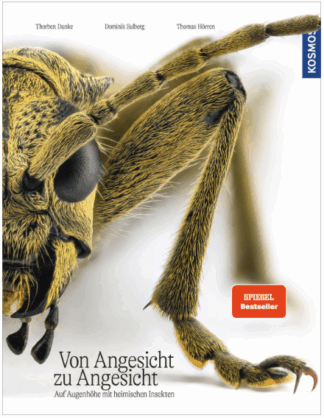 Von Angesicht zu Angesicht