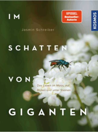 Im Schatten von Giganten
