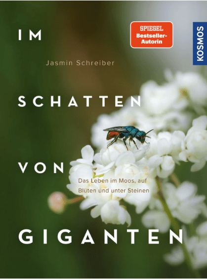 Im Schatten von Giganten