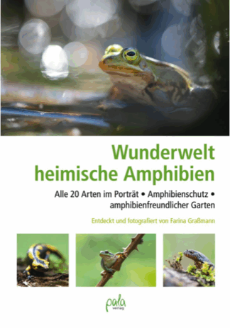 Wunderwelt heimische Amphibien