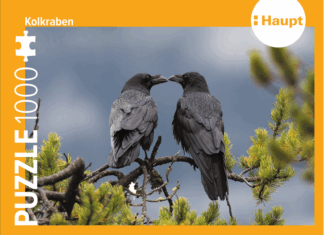 Kolkraben – Puzzle