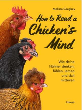 How to Read a Chicken's Mind