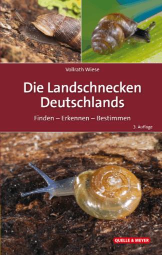 Die Landschnecken Deutschlands