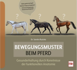 Bewegungsmuster beim Pferd
