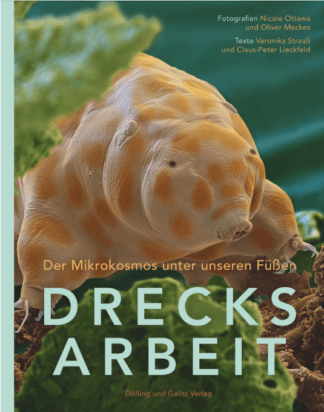 DRECKSARBEIT