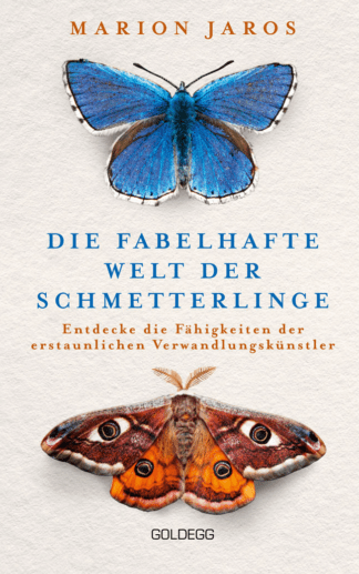 Die fabelhafte Welt der Schmetterlinge