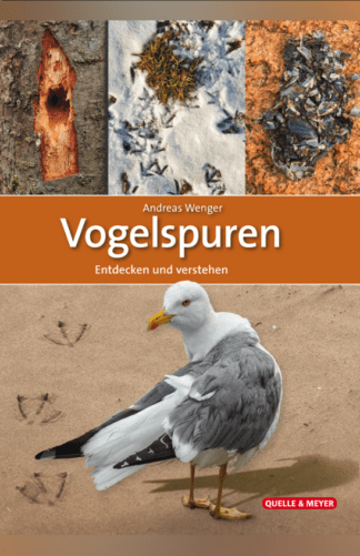 Vogelspuren