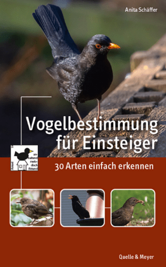 Vogelbestimmung für Einsteiger