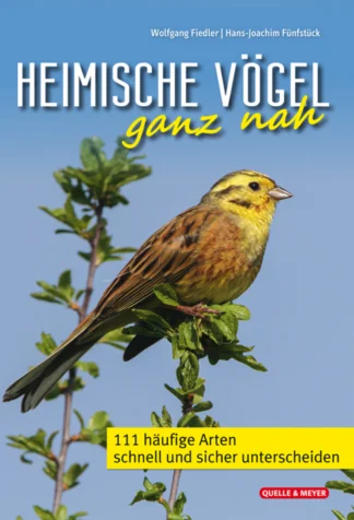 Heimische Vögel ganz nah