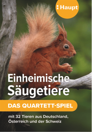 Einheimische Säugetiere – das Quartett-Spiel