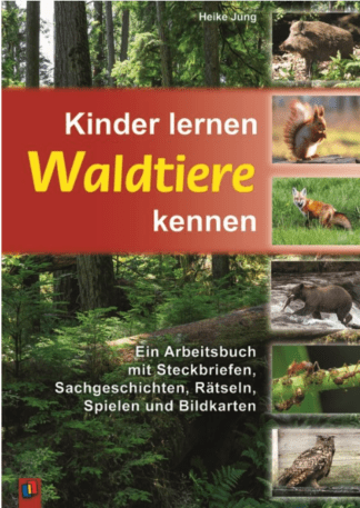 Kinder lernen Waldtiere kennen