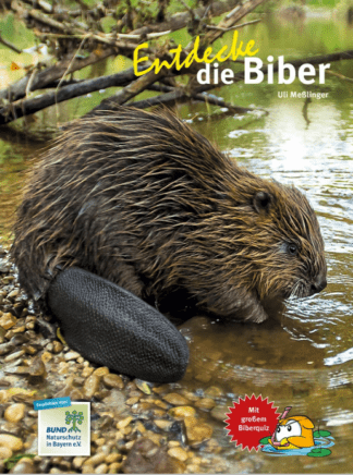 Entdecke die Biber
