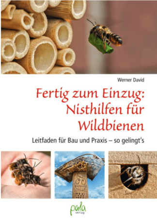 Fertig zum Einzug: Nisthilfen für Wildbienen