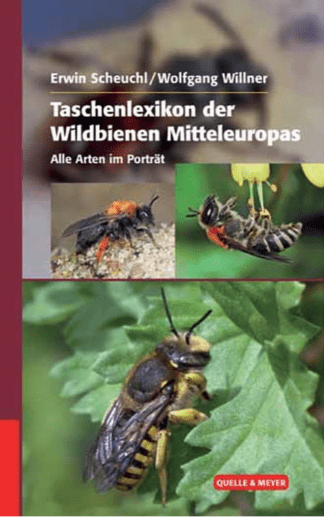 Taschenlexikon der Wildbienen
