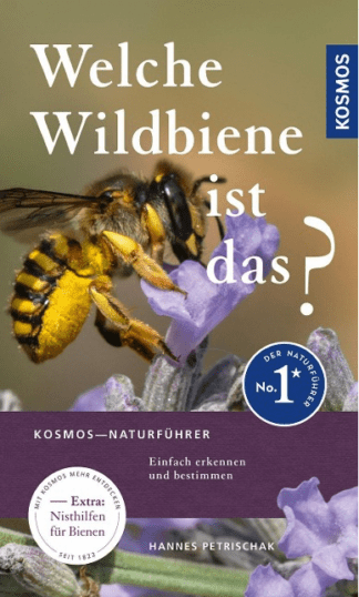 Welche Wildbiene ist das?