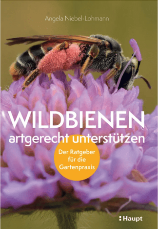 Wildbienen artgerecht unterstützen