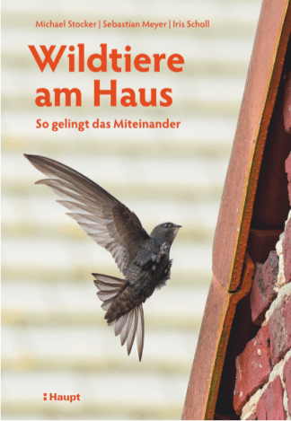 Wildtiere am Haus