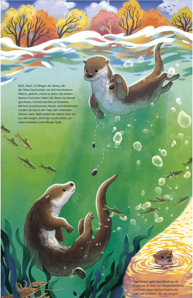 Der kleine Otter - Zu Hause in den Flüssen Europas – Bild 2