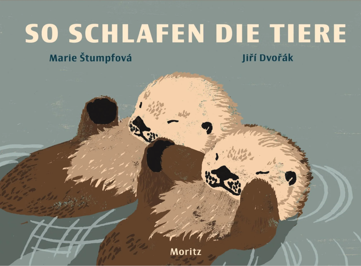 So schlafen Tiere