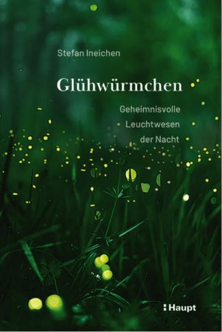 Glühwürmchen