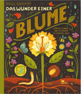 Das Wunder einer Blume