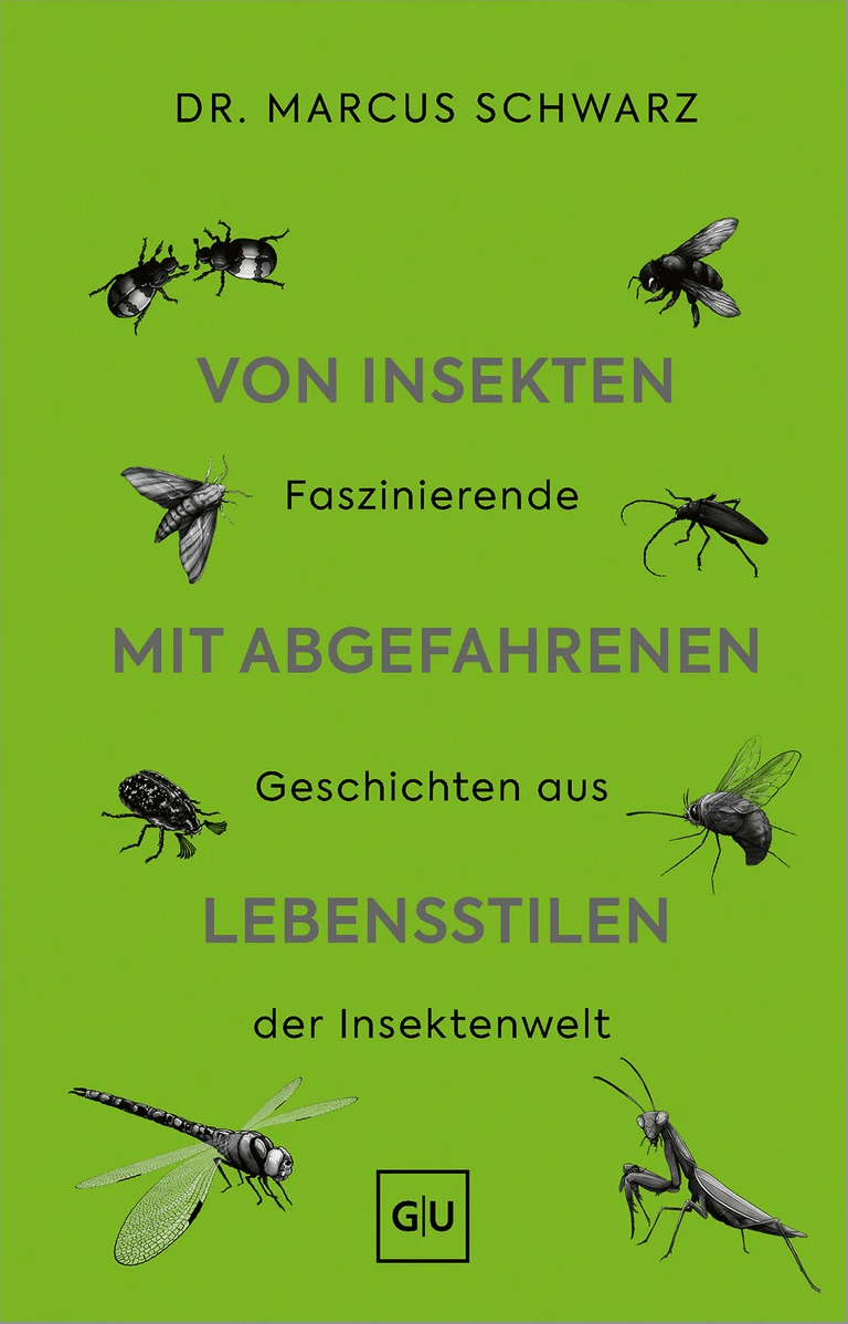 Von Insekten mit abgefahrenen Lebensstilen