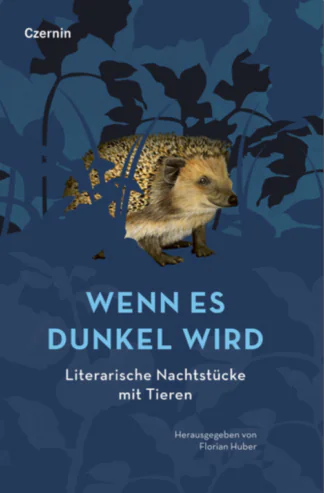 Wenn es dunkel wird