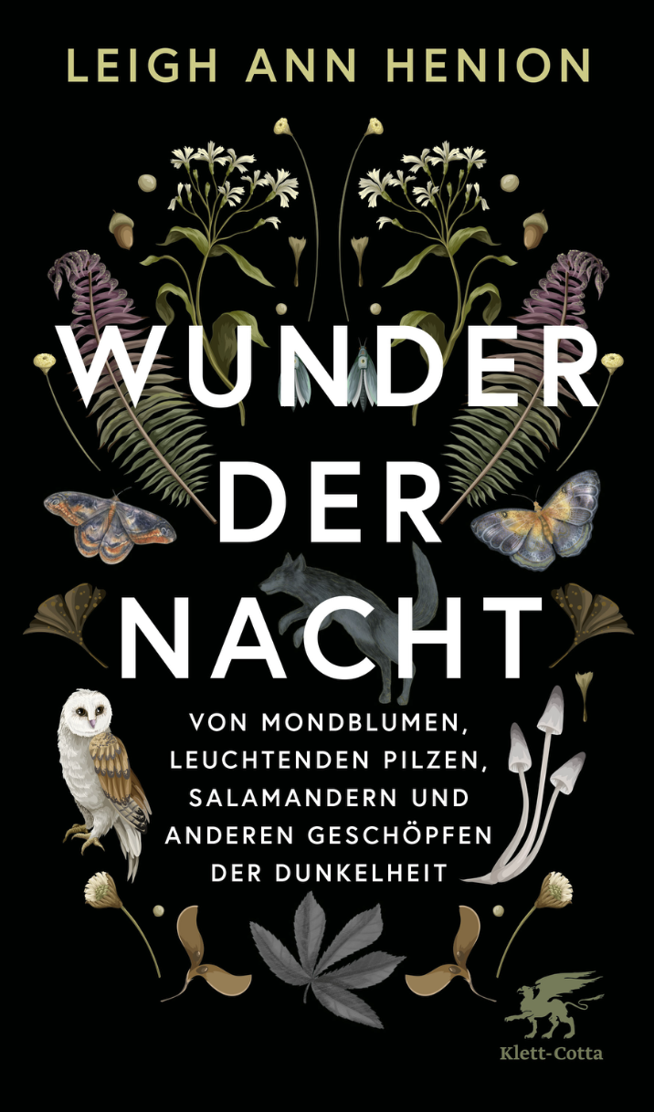 Wunder der Nacht